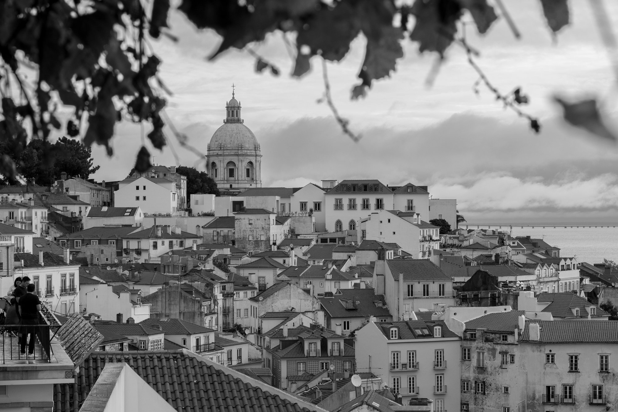 Black and white view of Alfama rooftops in Lisbon, with the dome of the National Pantheon framed by leaves overhead