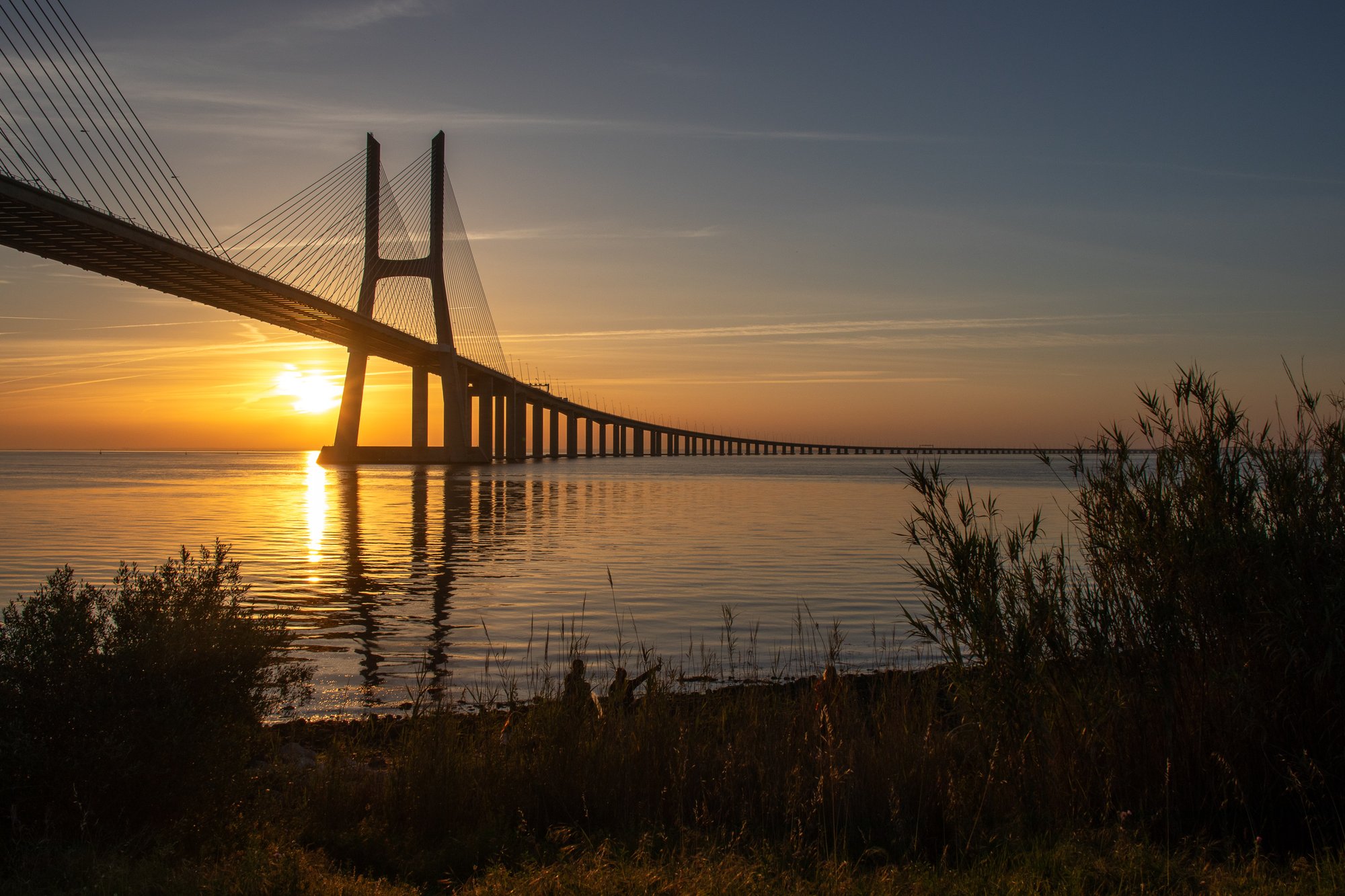 Vasco da Gama Bridge at sunrise with the sun raising behind its main pylon, seen from the reed grass beside the Tejo river